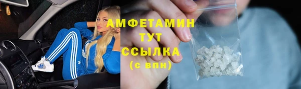 ПСИЛОЦИБИНОВЫЕ ГРИБЫ Дмитров