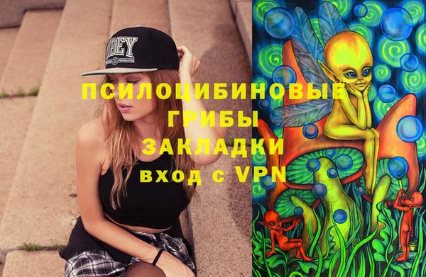 ПСИЛОЦИБИНОВЫЕ ГРИБЫ Дмитров