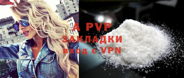 ПСИЛОЦИБИНОВЫЕ ГРИБЫ Дмитров