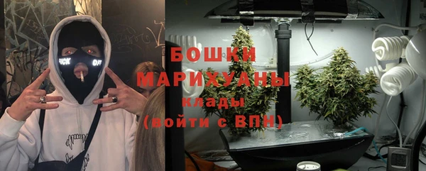 ПСИЛОЦИБИНОВЫЕ ГРИБЫ Дмитров