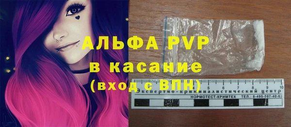 ПСИЛОЦИБИНОВЫЕ ГРИБЫ Дмитров