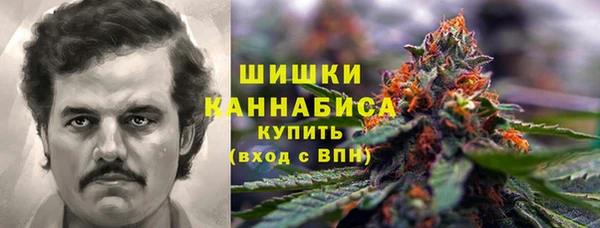 ПСИЛОЦИБИНОВЫЕ ГРИБЫ Дмитров