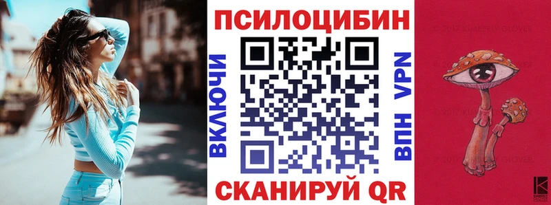 Купить закладки  Кунгур  Псилоцибиновые грибы GOLDEN TEACHER 